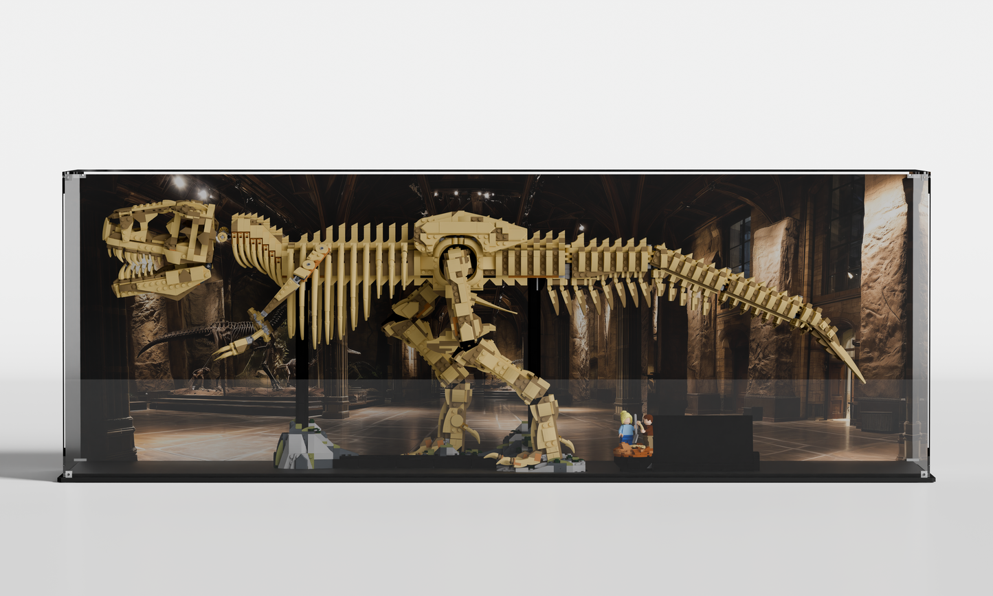Display Case for LEGO® Jurassic World Dinosaur Fossils: Tyrannosaurus rex ( 76968)