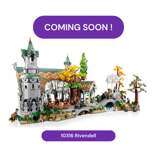 LEGO Display case for lord of the rings Rivendell 10316