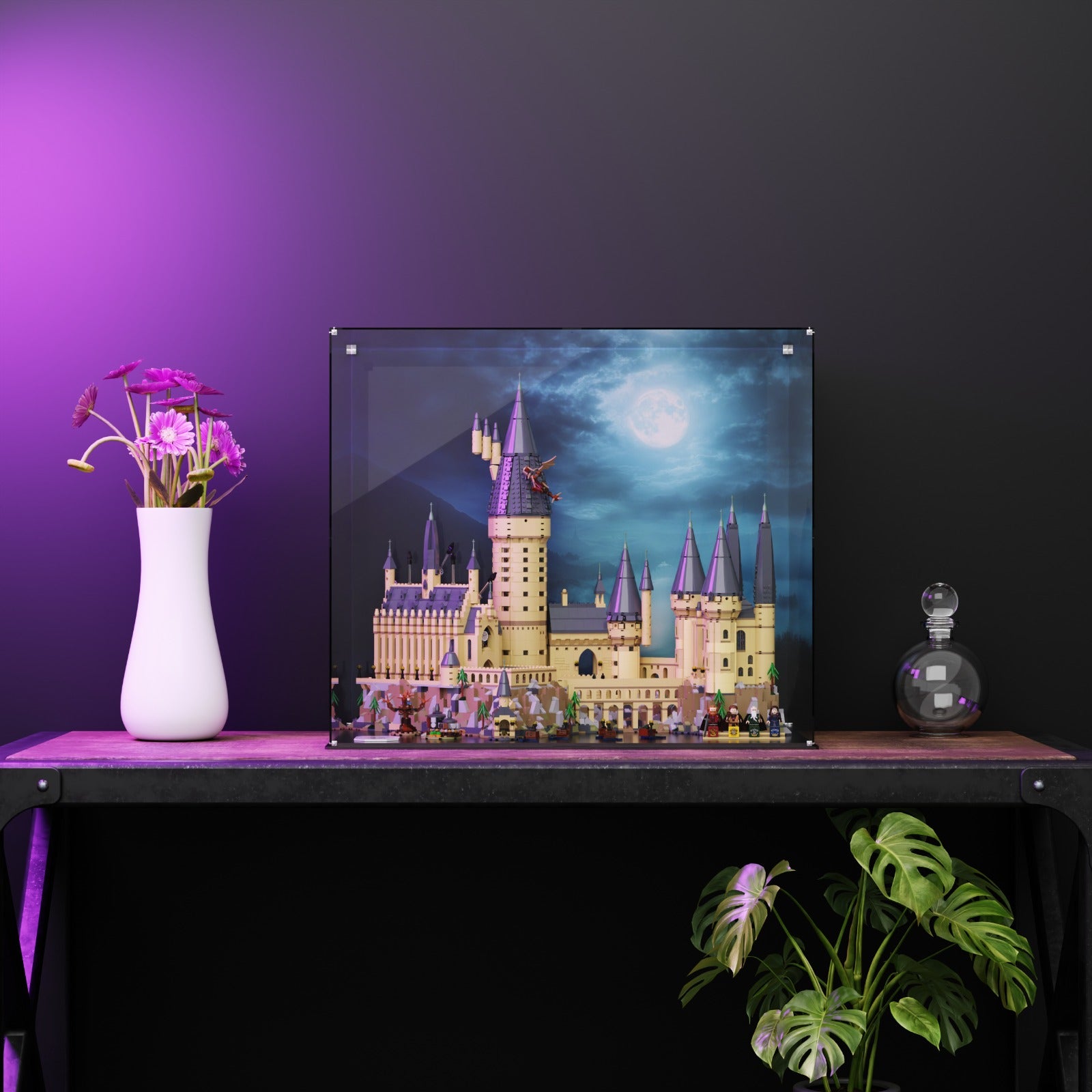Lego display case for LEGO Harry Potter Hogwarts Castle 71043 - view