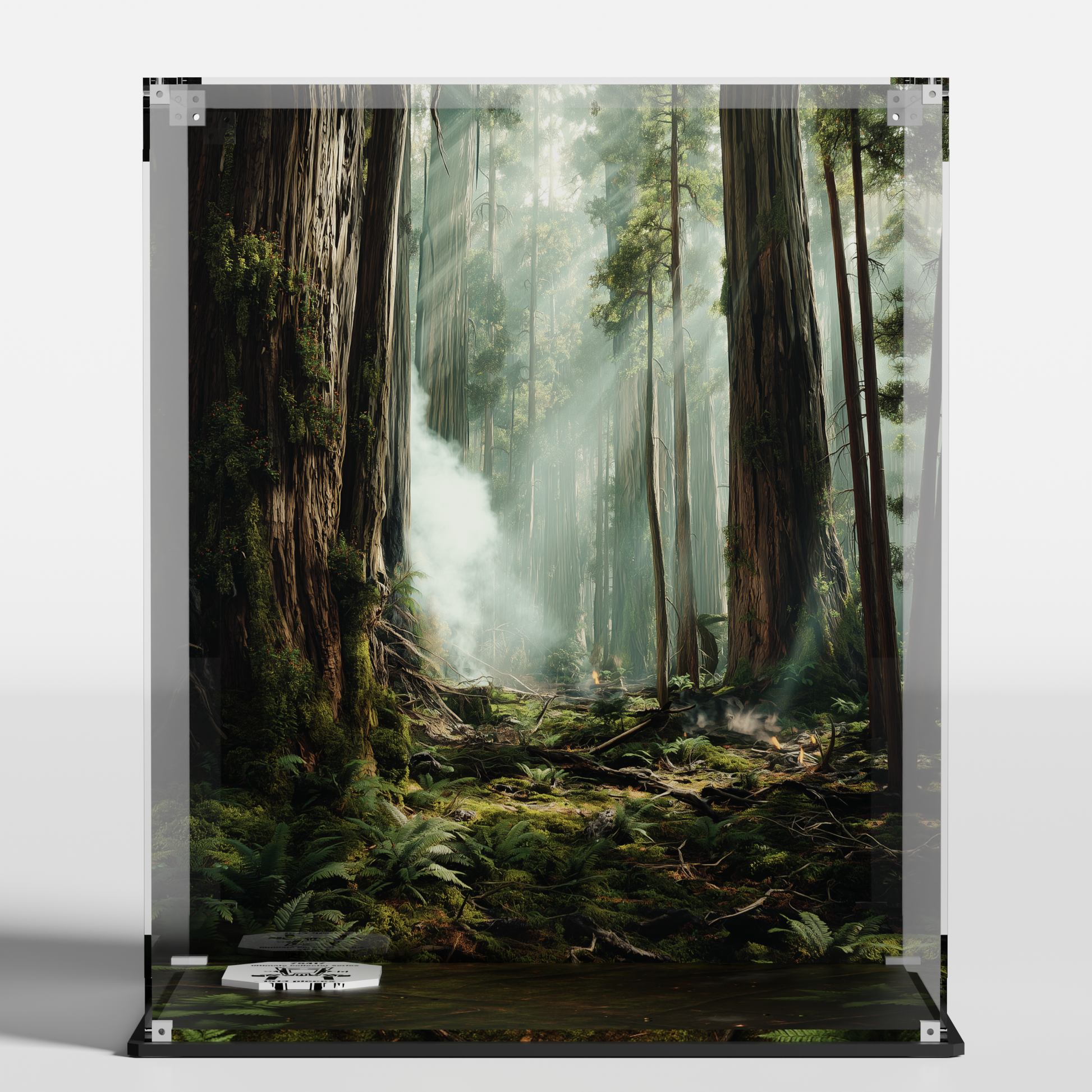 Optional Endor terrain baseplate displayed in premium LEGO display case for UCS AT-ST Walker 75417